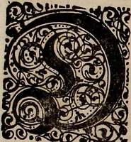 An illustration from Nützliches in lauter auserlesenen, wohl-approbirt- und meistentheils neu-inventirten Mustern bestehendes, Weber-Bild-Buch : als, zwey und siebenzig gesteinten Zeichnungen, von 15. bis auf 40. schäfftig und 32. Stück 16. und 20. schäfftigen Hin- und Wieder-Mödel, auch allerhand der nettesten Gattung von roth-gestreifften Arbeiten, sammt denen dazu gehörigen Zügen und Schnürungen : ingleichen allerhand nöthigen Bildern, auch Doppel-Kellisch, und einer Art von den Damast-Boden, 8. Flügel auf einen Bruch : dann eine Anweisung, wie sich diese Art Züg und Bilder zu halben Brüchen theilen, zerlegen, auch Doppel-Kellisch-Bilder so, wie man sie zum Gebrauch nöthig, selbst versetzen und verändern kan : wobey auch einer jeden Gattung insonderheit eine schrifftliche Anleitung voran gedruckt worden (1740)