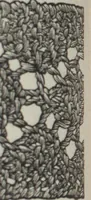 An illustration from How to use Florence knitting silk : no. 4 (1882)