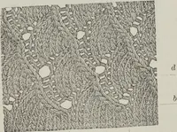 An illustration from How to use Florence knitting silk : no. 4 (1882)