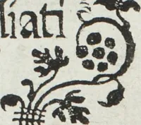 An illustration from L'honesto essempio del uertuoso desiderio che hanno le donne di nobil ingegno : circa lo imparare i punti tagliati a fogliami (1550)