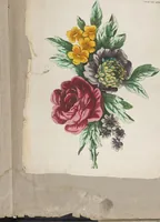An illustration from Folio of embroidery designs (1800)