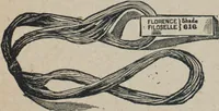 An illustration from Florence home needle-work (1887)