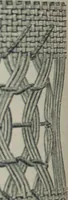 An illustration from Florence home needle-work (1888)