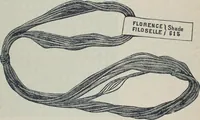 Picture 93 of 214 from Florence home needle-work (1888), leaf 39