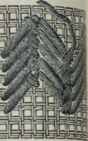 Picture 113 of 214 from Florence home needle-work (1888), leaf 44