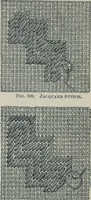 Picture 121 of 214 from Florence home needle-work (1888), leaf 46