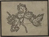 An illustration from Florence home needle-work (1889)