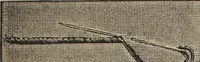 An illustration from Florence home needle-work (1889)