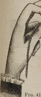 An illustration from Florence home needle-work (1889)