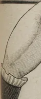 An illustration from Florence home needle-work (1889)