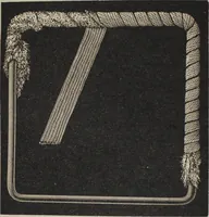 An illustration from Florence home needle-work (1889)