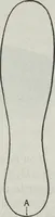 An illustration from Florence home needle-work (1891)