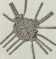 An illustration from Florence home needle-work (1891)