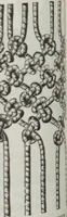 Picture 111 of 165 from Florence home needle-work (1891), leaf 66