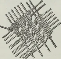 An illustration from Florence home needle-work (1891)