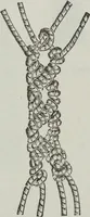 An illustration from Florence home needle-work (1891)