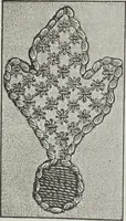 An illustration from Florence home needle-work (1891)