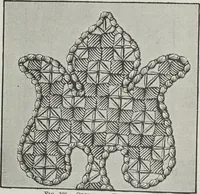 An illustration from Florence home needle-work (1891)