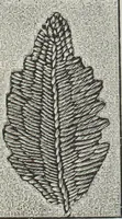 An illustration from Florence home needle-work (1891)