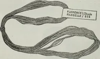 Picture 160 of 165 from Florence home needle-work (1891), leaf 90