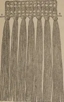 An illustration from Florence home needle-work (1892)