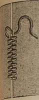 An illustration from Florence home needle-work (1892)