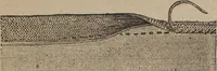 Picture 65 of 170 from Florence home needle-work (1892), leaf 57