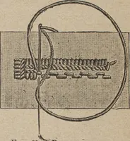 An illustration from Florence home needle-work (1892)