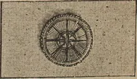 An illustration from Florence home needle-work (1892)