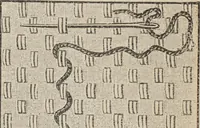 Picture 16 of 94 from Florence home needle-work (1893), leaf 27