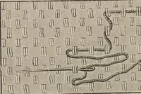 Picture 18 of 94 from Florence home needle-work (1893), leaf 28