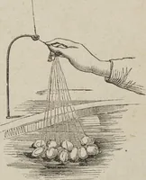 Picture 39 of 94 from Florence home needle-work (1893), leaf 52