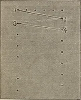 An illustration from Florence home needle-work (1893)