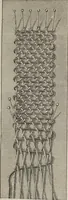 An illustration from Florence home needle-work (1893)