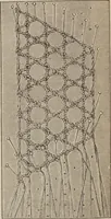 Picture 57 of 94 from Florence home needle-work (1893), leaf 69
