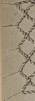 An illustration from Florence home needle-work (1893)