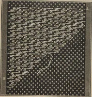 An illustration from Florence home needle-work (1894)