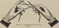Picture 25 of 93 from Florence home needle-work (1894), leaf 37