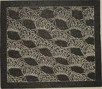 An illustration from Florence home needle-work (1894)