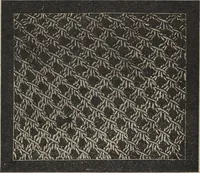 Picture 59 of 93 from Florence home needle-work (1894), leaf 62