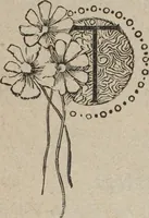 Picture 68 of 93 from Florence home needle-work (1894), leaf 74