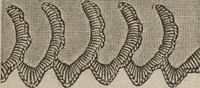 An illustration from Florence home needle-work (1894)