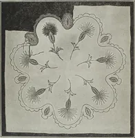 Picture 11 of 94 from Florence home needle-work (1895), leaf 13