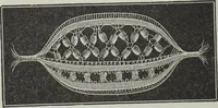 An illustration from Florence home needle-work (1895)