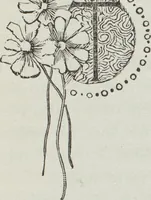 An illustration from Florence home needle-work (1895)