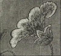 Picture 53 of 94 from Florence home needle-work (1895), leaf 51