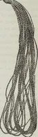 An illustration from Florence home needle-work (1895)