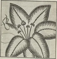 An illustration from Florence home needle-work (1896)