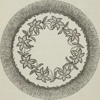 An illustration from Florence home needle-work (1896)