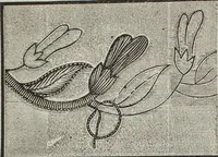 An illustration from Florence home needle-work (1896)